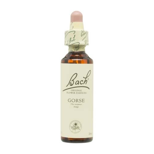 Bach 13 gorse 20 ml bach