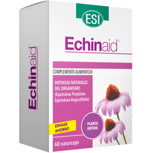 echinaid (60 caps)