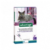 Advantage 80 gatos 4-8kg 4 pipetasadvantage  80