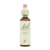 Bach 13 gorse 20 ml bach