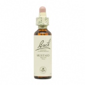 Bach 21 mustard 20 ml bach